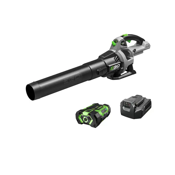 iGOForestry | LEAF BLOWER | LB5302
