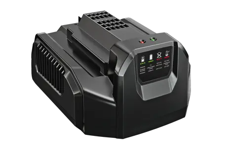 iGOForestry | BATTERIES AND CHARGERS | CH2100