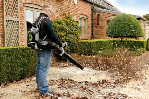 iGOForestry | LEAF BLOWER | LB6000