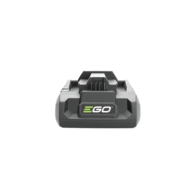 iGOForesterie | BATTERIES ET CHARGEURS | CH3200