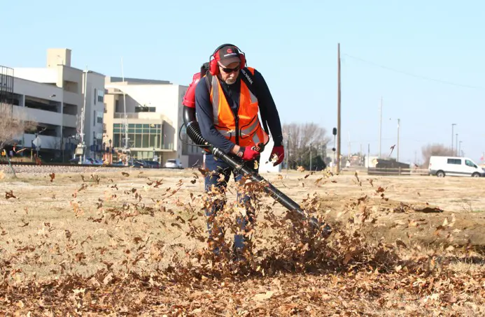 iGOForesterie | SOUFFLEUR À FEUILLES | BL70-SP