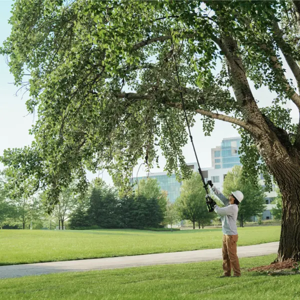 iGOForestry | POLE PRUNER | PSX2510