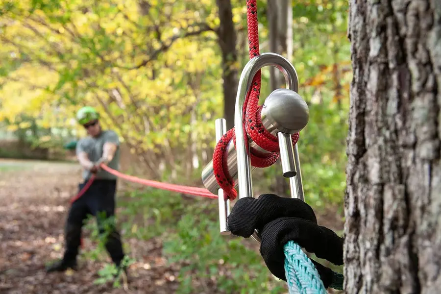 iGOForestry | RIGGING ACCESSORIES | POWLSS