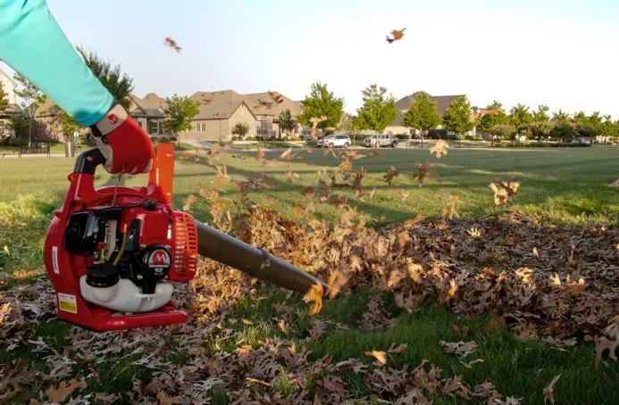 iGOForestry | LEAF BLOWER | BL32